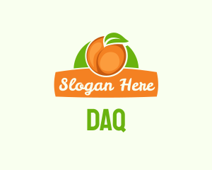 Orange Fruit Banner Logo