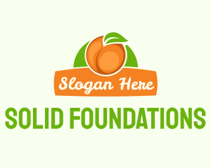 Fruit Juice - Orange Fruit Banner logo design