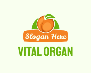 Orange Fruit Banner logo design