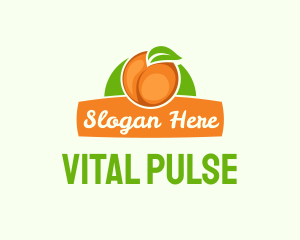 Orange Fruit Banner logo design