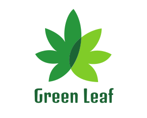 Cannabis Marijuana Weed Leaf logo design