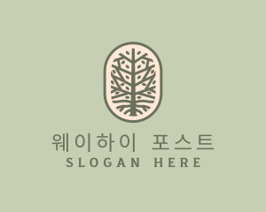 Mangrove Tree Branch logo design