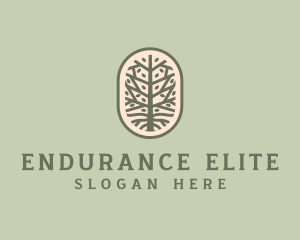 Mangrove Tree Branch logo design