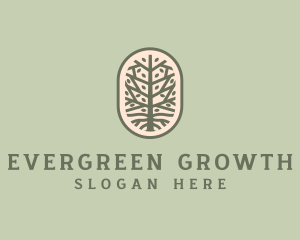 Mangrove Tree Branch logo design