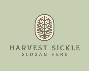 Mangrove Tree Branch logo design