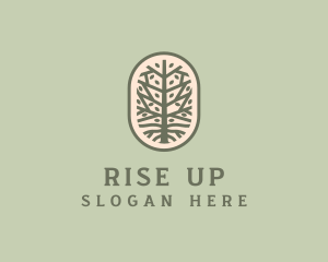 Mangrove Tree Branch logo design