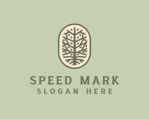 Mangrove Tree Branch logo design