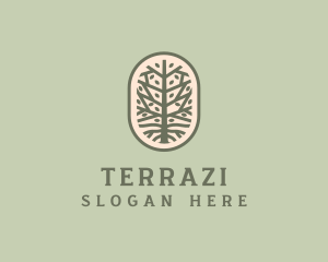 Mangrove Tree Branch logo design