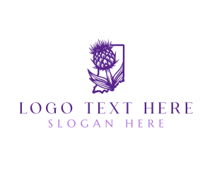 Thistle - Indiana Spiky Thistle logo design