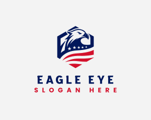 American Eagle Air Force logo design