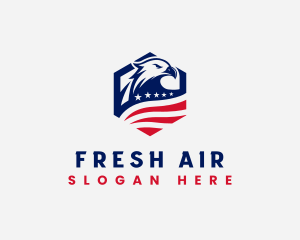 American Eagle Air Force logo design