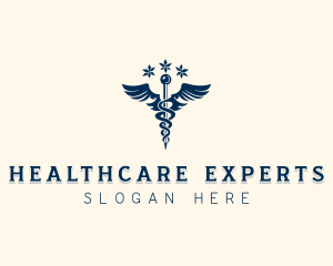 Caduceus Wings Healthcare logo design