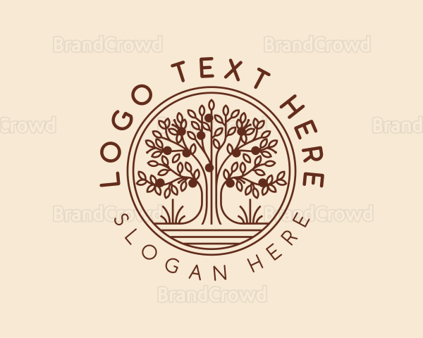 Eco Fruit Tree Logo