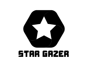 Hexagon Star Badge logo design