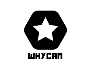 Hexagon Star Badge logo design