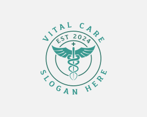 Medical Caduceus Hospital Logo