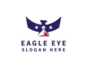 USA Mountain Eagle logo design