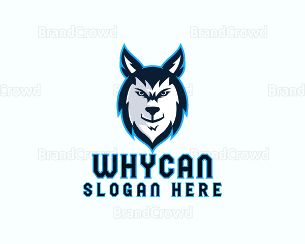 Wild Wolf Stream Logo