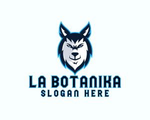 Alpha - Wild Wolf Stream logo design