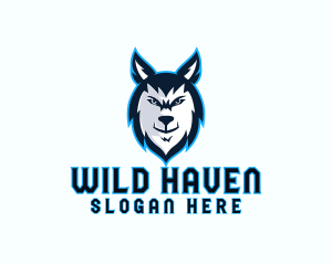 Wild Wolf Stream logo design