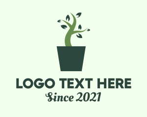 Potted Plant - Green House Plant logo design