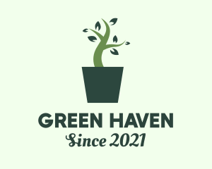 Green House Plant  logo design