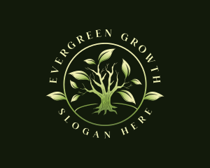 Leaf Tree Plant logo design