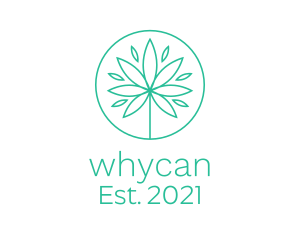 Nature - Organic Marijuana Herb logo design