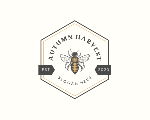 Hexagon Honey Bee logo design