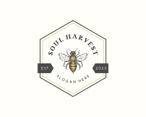 Hexagon Honey Bee logo design