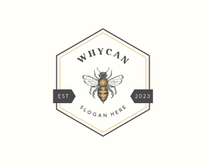 Hexagon Honey Bee logo design