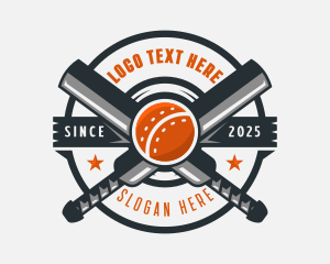 Cricket - Cricket Championship Team logo design