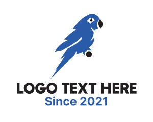 Zoo - Blue Macaw Parrot logo design