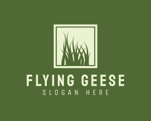 Garden Yard Lawn Grass logo design