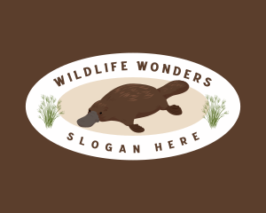 Platypus Wildlife Conservation logo design