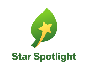 Yellow Star Leaf logo design