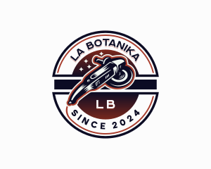 Detailer - Polish Polisher Detailing logo design