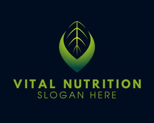 Modern Leaf Letter V logo design