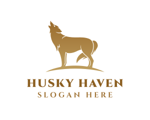 Husky - Golden Wolf Animal logo design