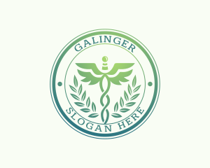 Clinic Hospital Caduceus Logo