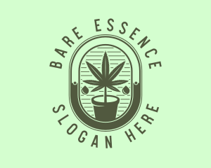 Marijuana Pot Plant logo design