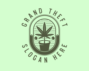 Cannabidioil - Marijuana Pot Plant logo design
