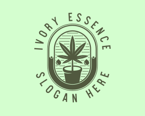 Marijuana Pot Plant logo design