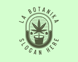 Essential Oil - Marijuana Pot Plant logo design