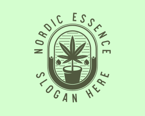 Marijuana Pot Plant logo design