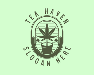 Marijuana Pot Plant logo design