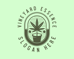 Marijuana Pot Plant logo design