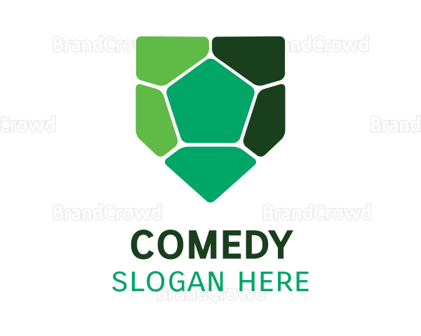 Turtle Shell Shield Logo