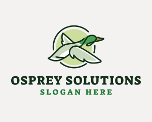 Osprey - Wild Flying Duck logo design