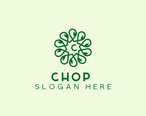 Agriculture - Organic Herbal Leaf logo design